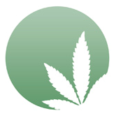 CLEARdrugpolicy Profile Picture