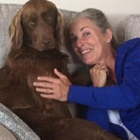 AnneHickey and Aero(@anne_ahickey) 's Twitter Profile Photo