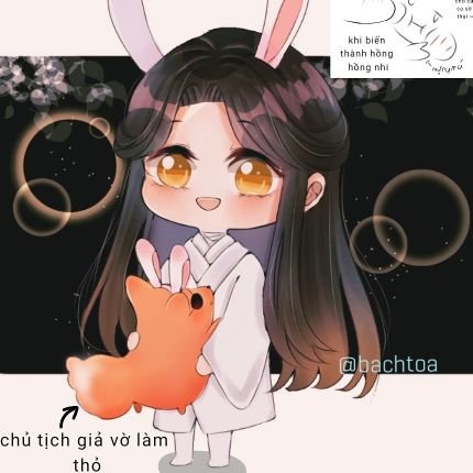 Bạch Toảさんのプロフィール画像