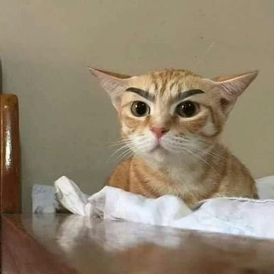 TKO85520068's profile picture. ง่วง