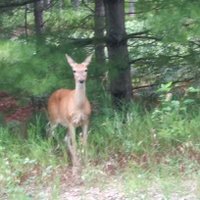 Mike Haines (@mikeh725) 's Twitter Profile