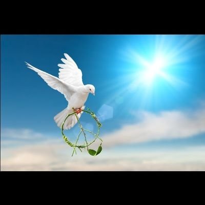 Munashe2406's profile picture. God first

volleyball is life 🏐