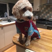 Steve Brown (@steve_brown01) 's Twitter Profile
