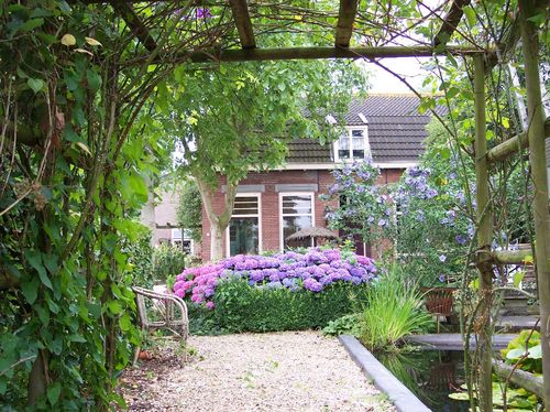 Pluktuin bloemen plukken workshops excursie natuurdecoratie droogbloemen High Tea terras natuur tuin arrangement bloemschikken bakhuis pizza bakken kerst B&B