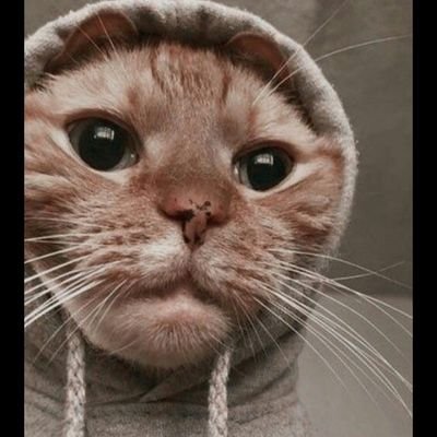 YeterbeFatma1's profile picture. Uluslararası sinir mühendisi…