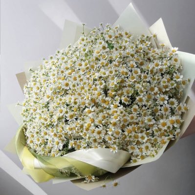 _Kl93's profile picture. اللهم اينما كان الرضا اجعله دائماً في قلبي.