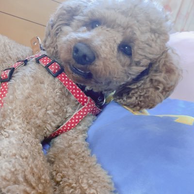 0hhj2opo2IqYcBn's profile picture. 