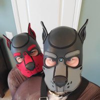 Knotty Dogs (@knotty_dogs) Twitter profile photo