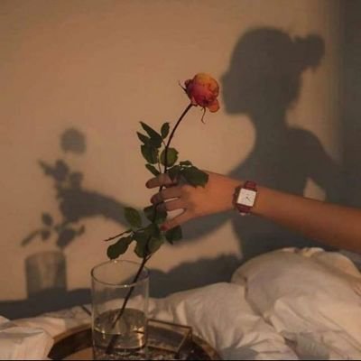 ILQ6ibPVaPwO9k8's profile picture. zamalek🇦🇹