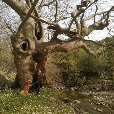 Penelopian's profile picture. Addicted to series, anime and books.