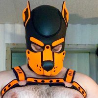 Pup Scorn (@scornpup) Twitter profile photo
