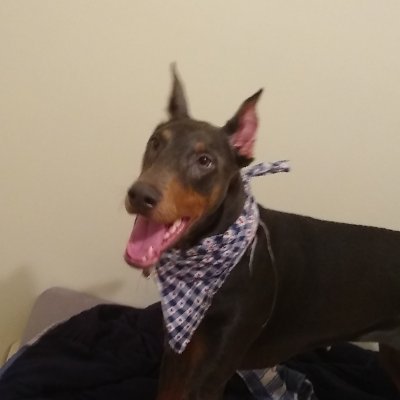 doyougotexma's profile picture. 