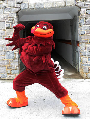 LVHokie's profile picture. 
