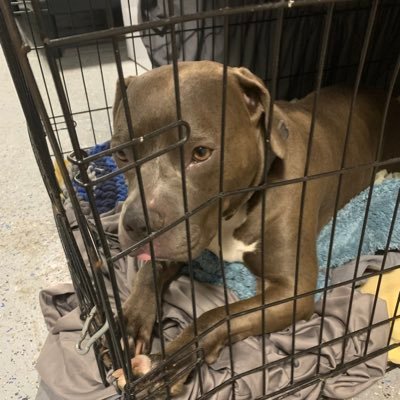 AnkersOwen's profile picture. Sexy as fuck