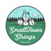 SmallTown Strings (@STStringsBand) Twitter profile photo