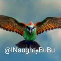 Naughty BuBu 🌐(@INaughtyBuBu) 's Twitter Profile Photo