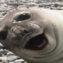 Rosie James - @_Rosie_James_ - Twitter