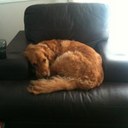 Jacqueline Elder - @jacelder29 - Twitter