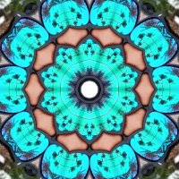 dr.jmgonzalez (@jmgonzalezdr) 's Twitter Profile