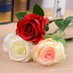 mahmoud ahmed (@66596223) Twitter profile photo mahmoud ahmed (@66596223) Twitter profile photo