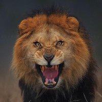 Eng.Abdulaziz (@abdullazizaf) 's Twitter Profile