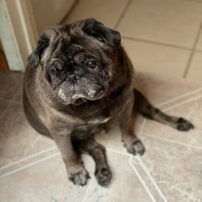 StephBeEyePhoto's profile picture. All photos posted are mine ©. All rights reserved ®. All photographs taken with my Memory D1000. 😜