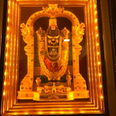 pateljasmine101's profile picture. Jay Hind 🙏🏻