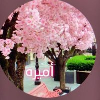 أميره (@aallaa122) 's Twitter Profile