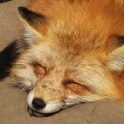 とりあえずツイッター始めてみた感じです。
機械音痴なので使いこなせる自信がない…
そして、2022年の参院選がきっかけで参政党の一般党員になりました!
なお、日本保守党や日本改革党の動きについても注目しています。
毎度、無言フォロー失礼します💦