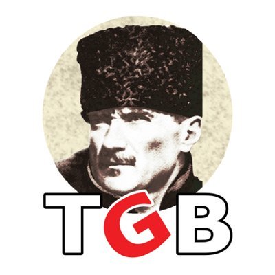 Türkiye Gençlik Birliği Basın Bürosu resmi Twitter hesabıdır. @genclikbirligi