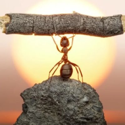 Imamudd85239640's profile picture. 