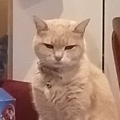 TleTleTleee's profile picture. Jauffre by day, sleep by night 😴