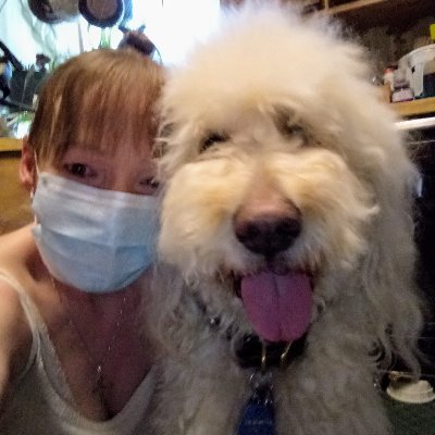 #CPP #FMS #DDD #CFS #Endo #TarlovCysts #Spondylosis #Scoliosis Frmr.Chef 25+yrs #OwnerTrained #Goldendoodle #PsychMobility #ServiceDog #FuckTrump #Biden2020 🌊