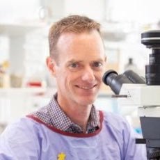 Biochemist interested in gene regulation and its involvement in cancer progression.