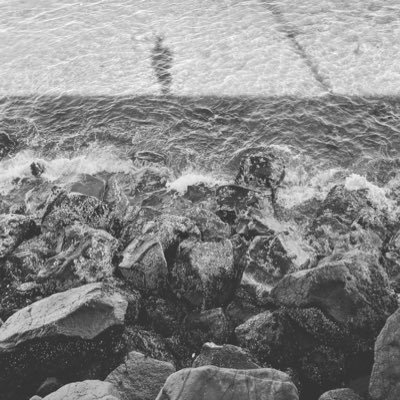 MarikoMettler's profile picture. she/her