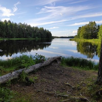 HillstromLars's profile picture. Animal Ecology