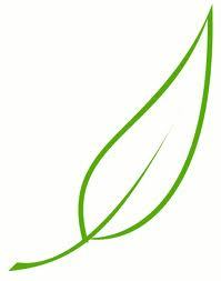 Providing the highest Quality Cremation and Burial services to Northern and all of California since 1998
