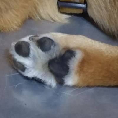 むかいさんのプロフィール画像