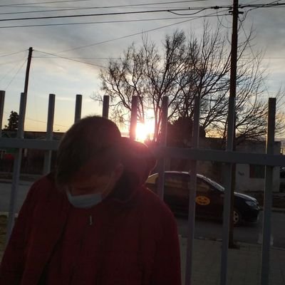 Televisión Programas de TV Entretenimiento Fútbol Rugby Música Artistas internacionales Artistas argentinos