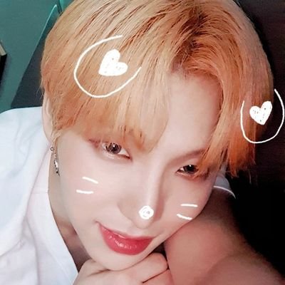 싱연さんのプロフィール画像