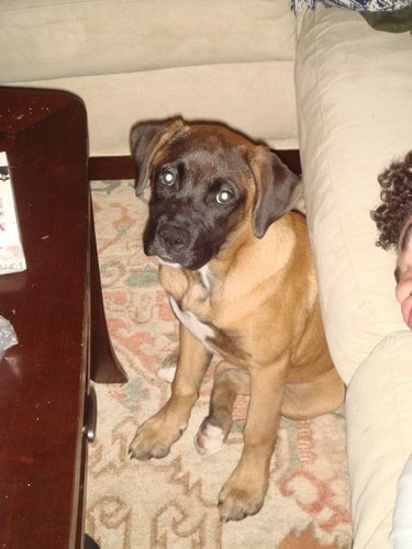 Avgalbeinawesom's profile picture. Muggle in the Magic City.