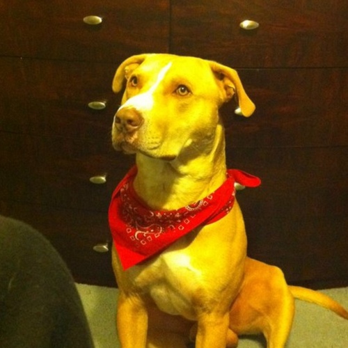 daddypuga's profile picture. 