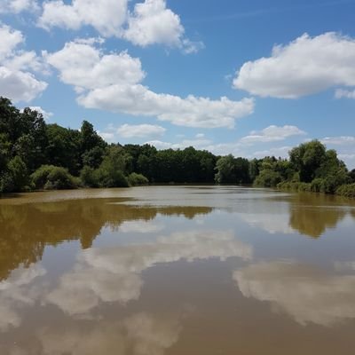 GaetanRoussea13's profile picture. Chasseur, de trolls, mais pas que... Adore cuisiner et déguster la Ⓥenaison
#ChassePartage
https://t.co/hFimnjNh23…