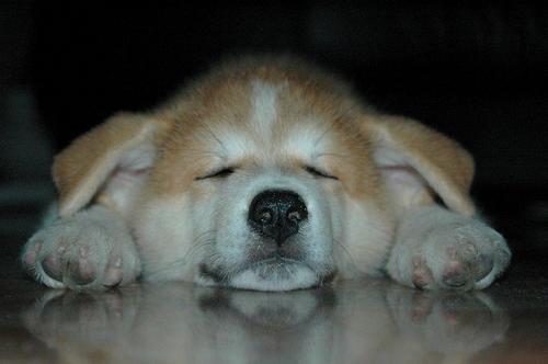 hobo9990's profile picture. 