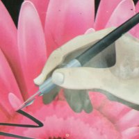 احمد حمد (@f21dn0hijsu7o6l) Twitter profile photo