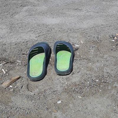 LujoGran's profile picture. 