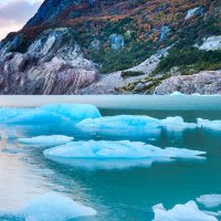 Gulag Inmate 739014327 (@robertopickles1) 's Twitter Profile