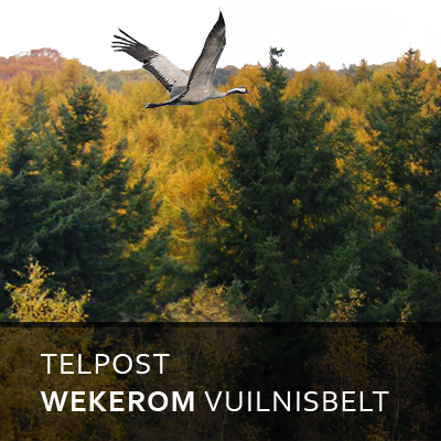 TelpostWekerom's profile picture. Vogeltelpost midden op de Veluwe. Op een voormalig vuilnisbelt.