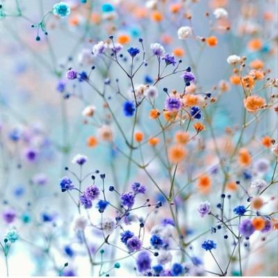 Datis46168648's profile picture. fit