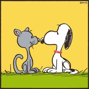 milk_0626_'s profile picture. マリングッズや料理やお菓子作り
たまにパン作ったりが好きです。
旦那とふたり暮らしです。